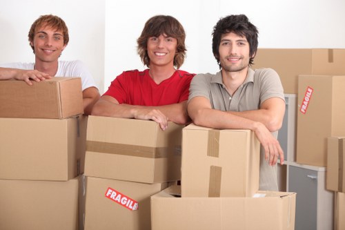 Packed moving boxes and checklist for Chelsea relocation